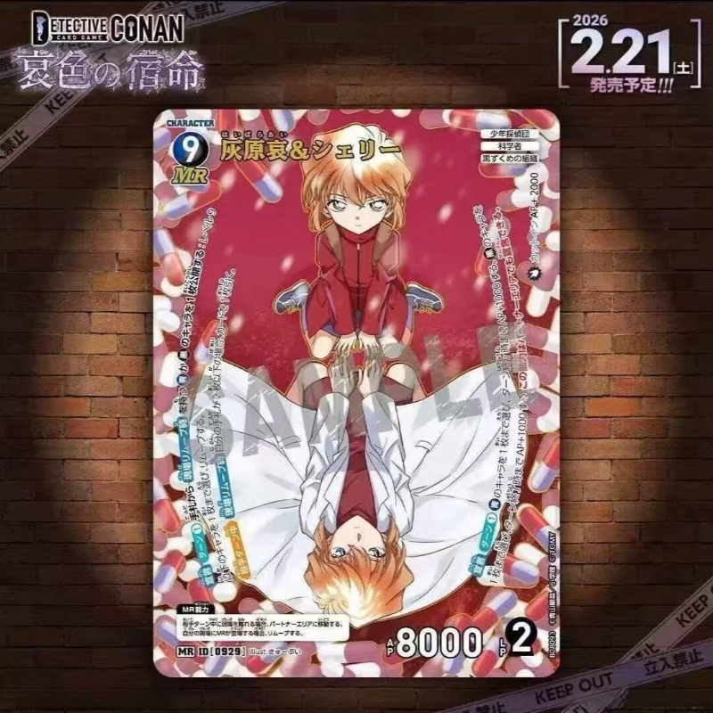 Permainan Kartu Koleksi Detect - Fate Anime Merchandise ulasan dan harga